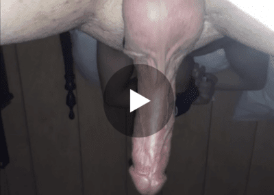 blowjob