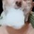 Profile picture of maduritovicioso